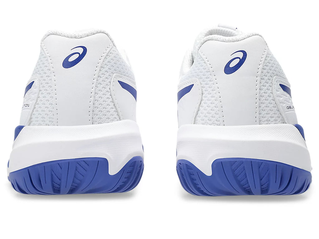 GEL-RESOLUTION X GRADE SCHOOL