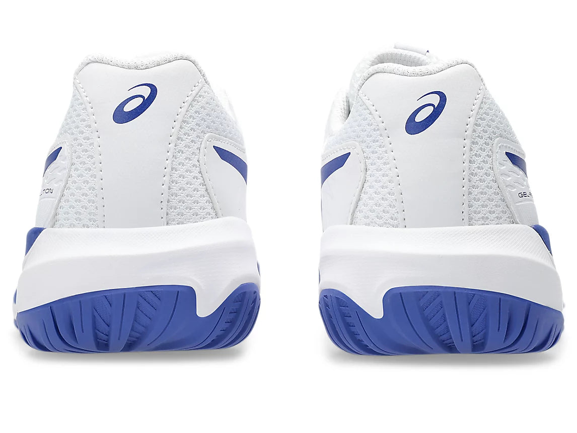 GEL-RESOLUTION X GRADE SCHOOL