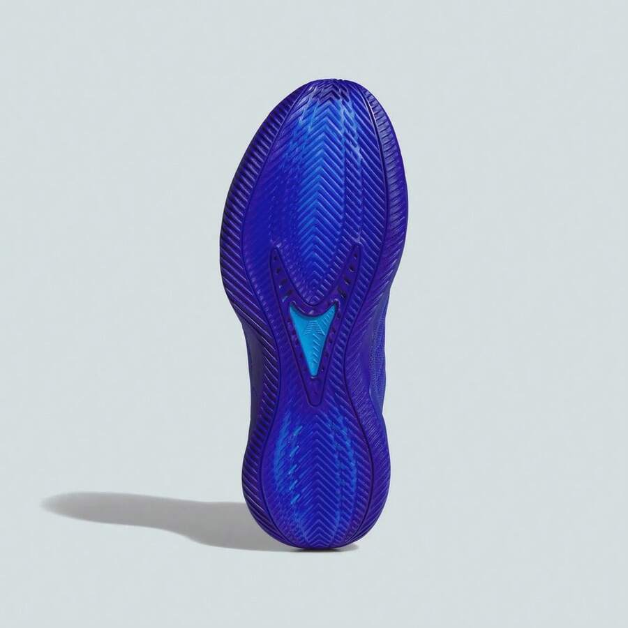 Adidas ANTHONY EDWARDS 2 .