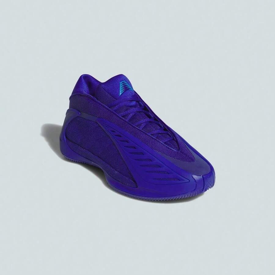 Adidas ANTHONY EDWARDS 2 .