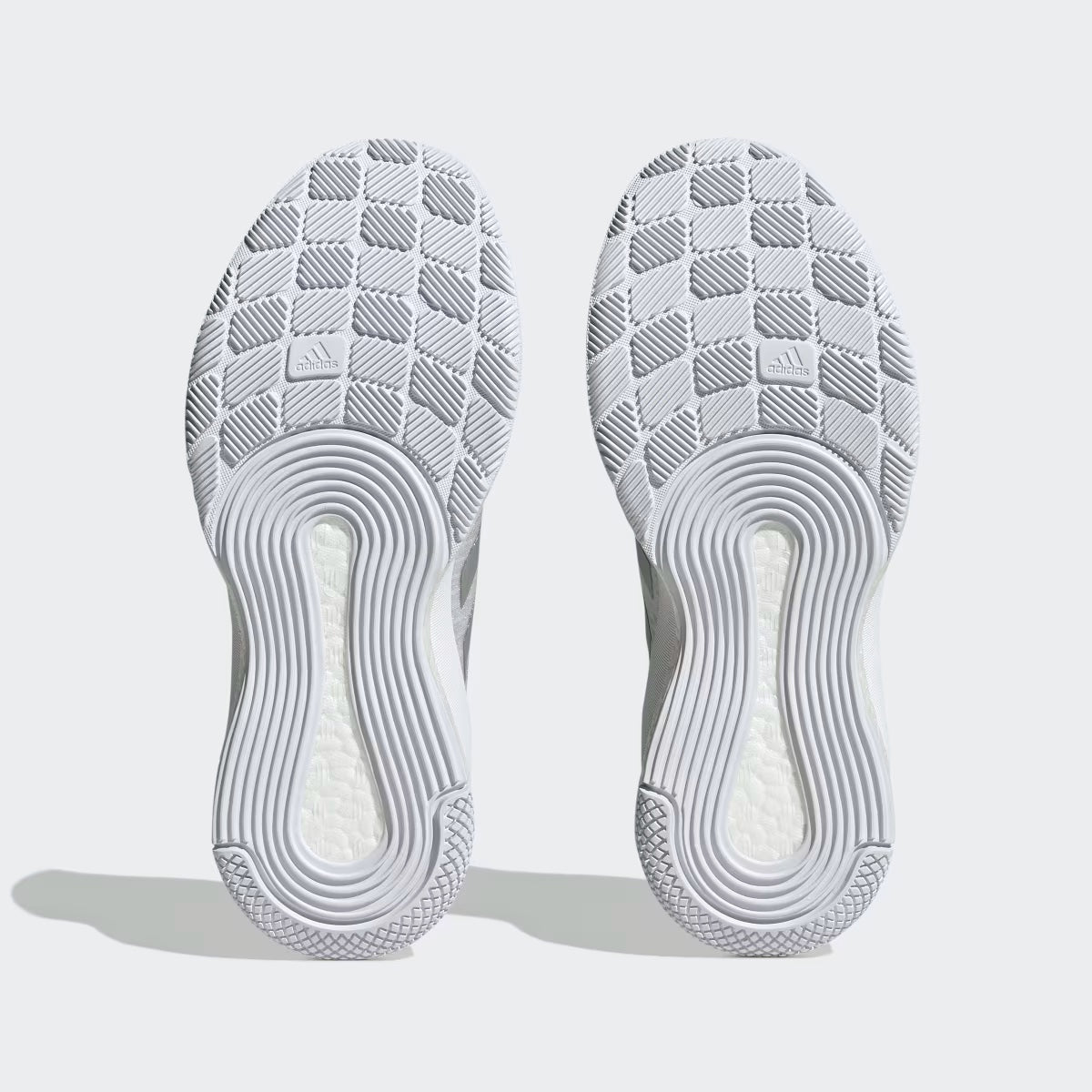 Adidas Crazyflight ( 36.5 )